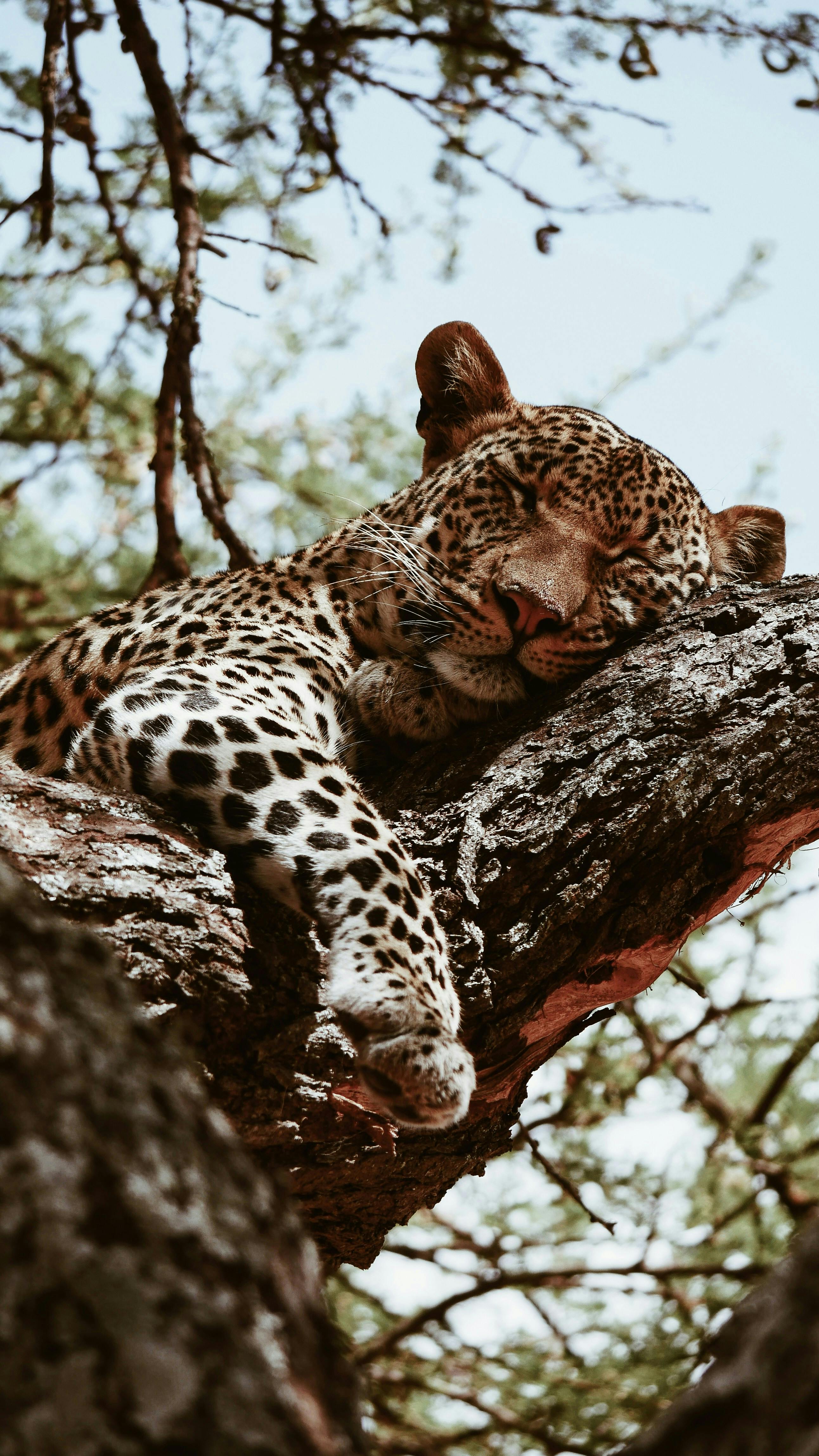 Ngorongoro Crater safari package in Tanzania