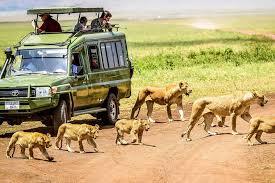 3 Days Christmas Safari Tanzania
