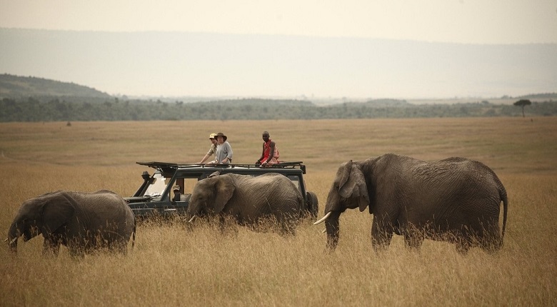 Calving Season Ndutu