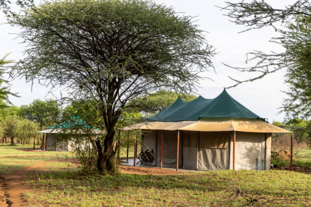 Budget Safari Lodge Serengeti