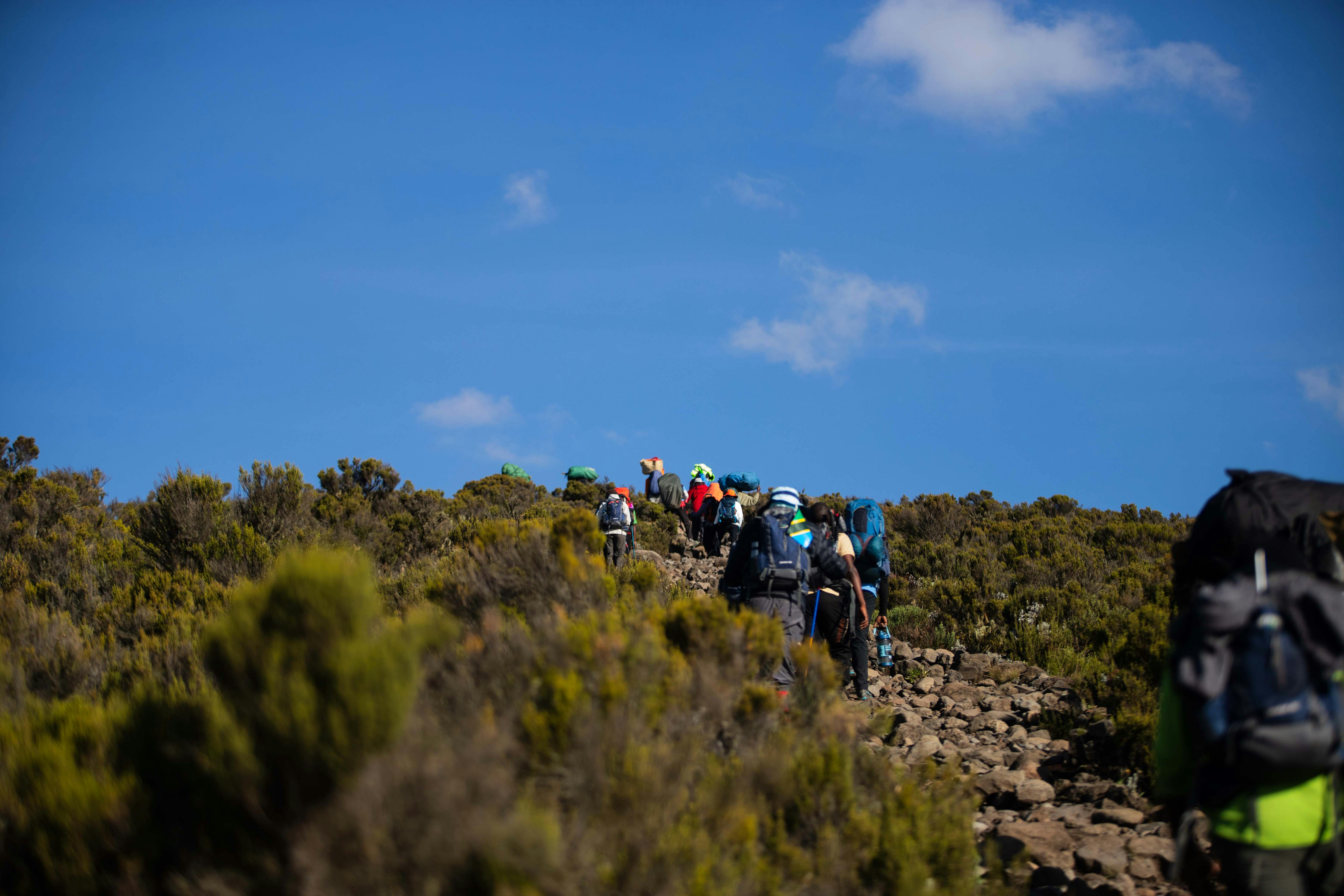 6 days Machame Route group joining Kilimanjaro climb
