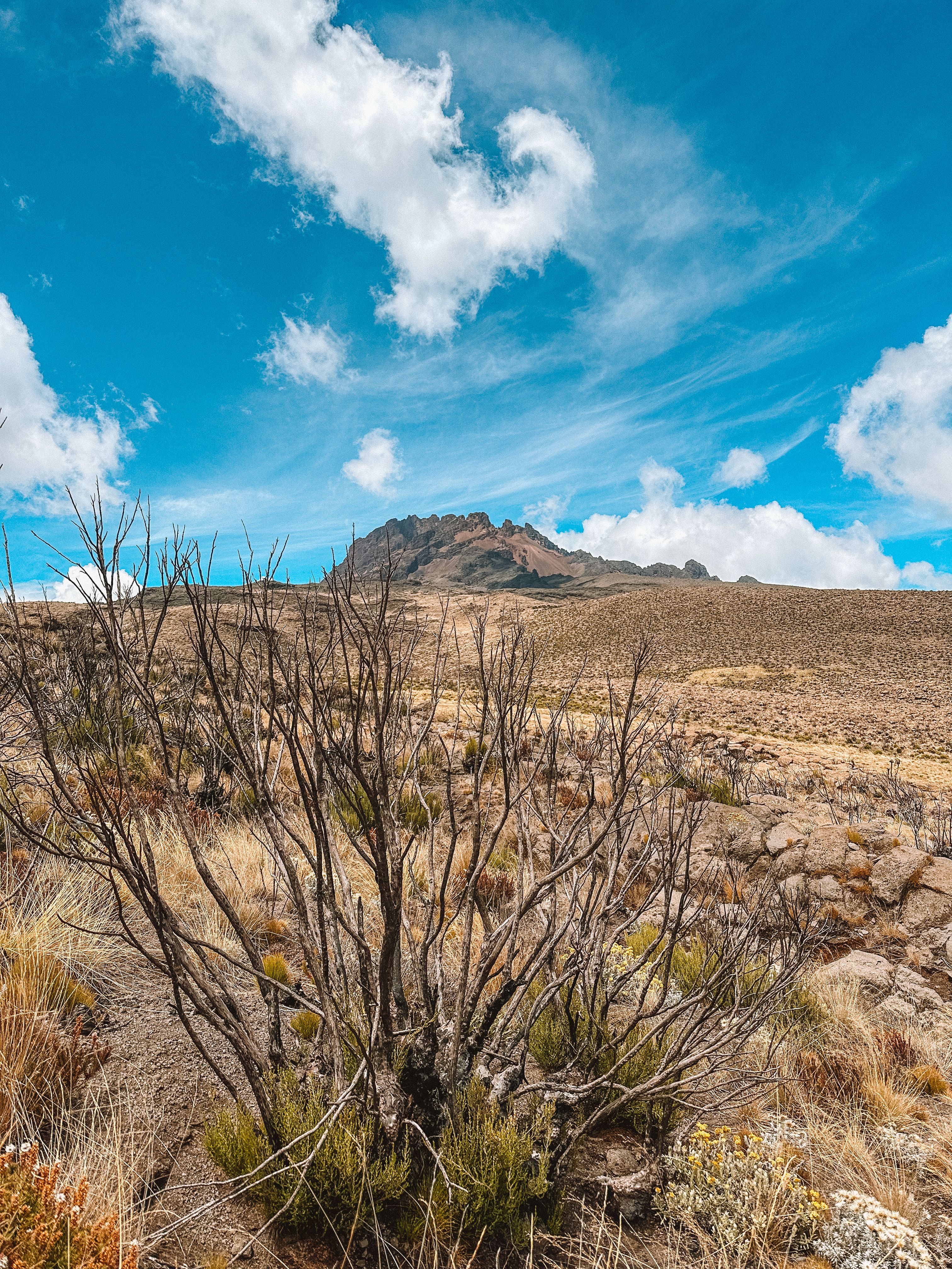 6 days Umbwe Route steep Kilimanjaro climbing challenge