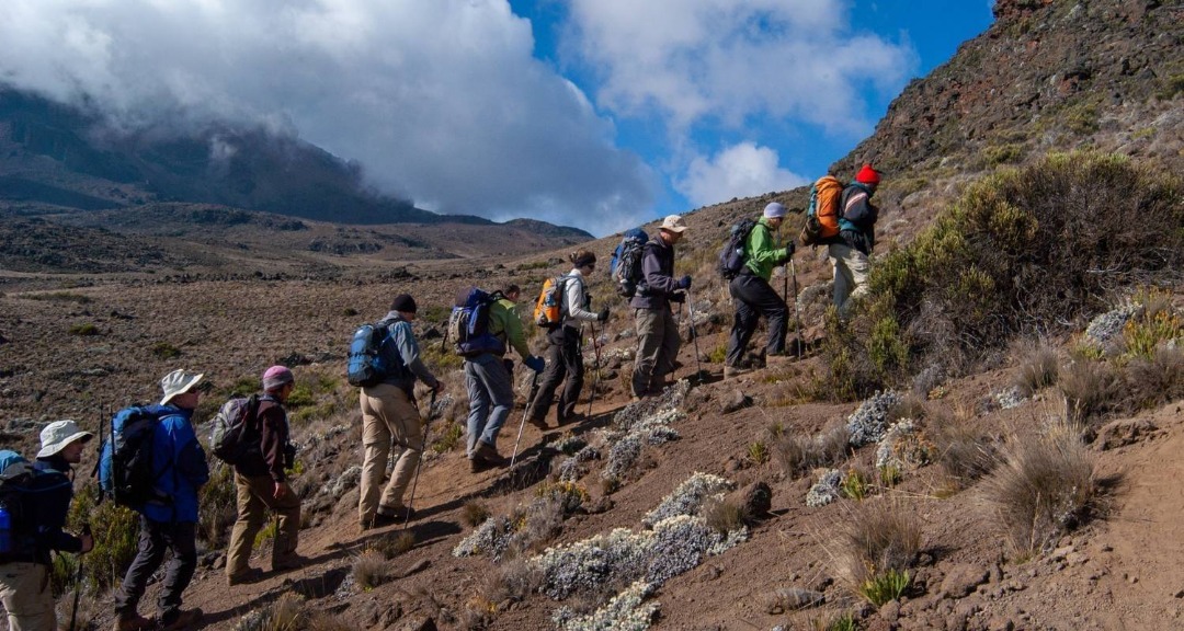Climbing Kilimanjaro 7 Day Lemosho Route Christmas