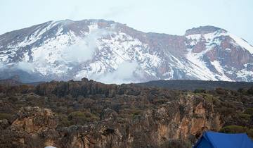 Mount Kilimanjaro Climbing