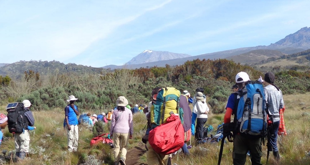 6 Days Machame Route Kilimanjaro Trek, Barranco Wall, Shira Plateau, Barafu Camp