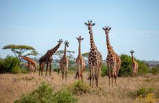3 Days Ngorongoro Safari Tours