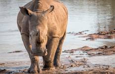 Safari Association Partner