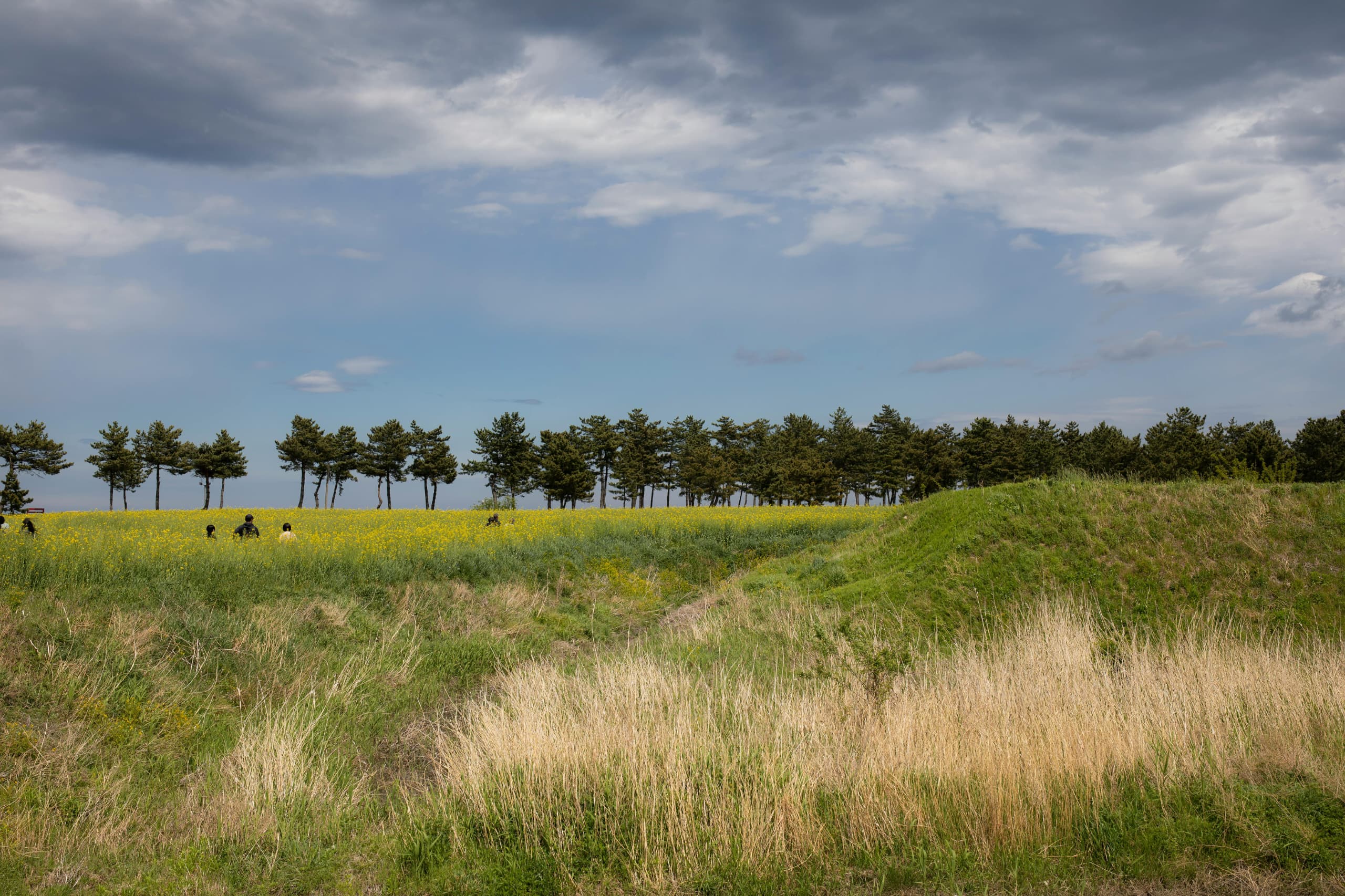 7-Day Best Family Safari Tanzania