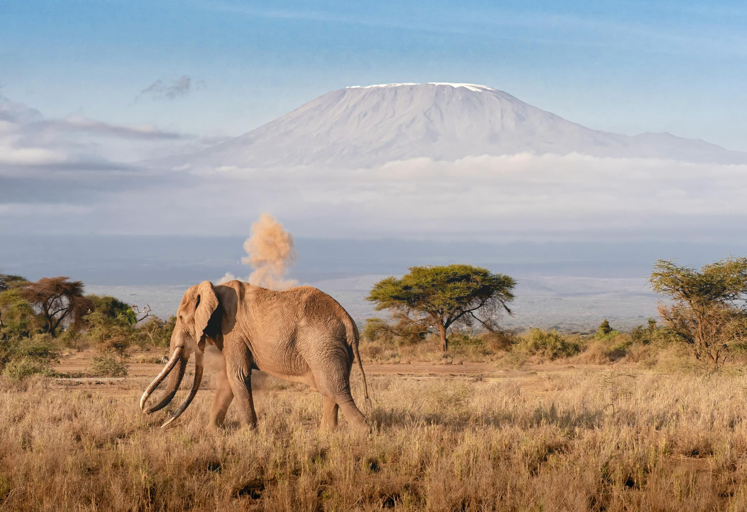 Conquer Kilimanjaro