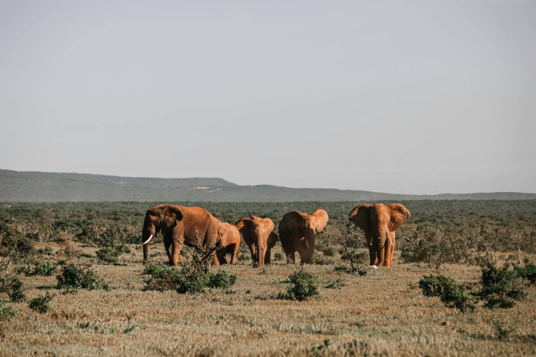 3-Day Serengeti & Ngorongoro Safari