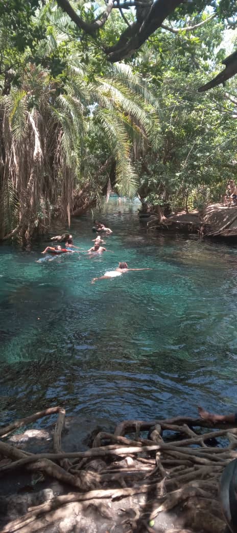 Kikuletwa Hotsprings