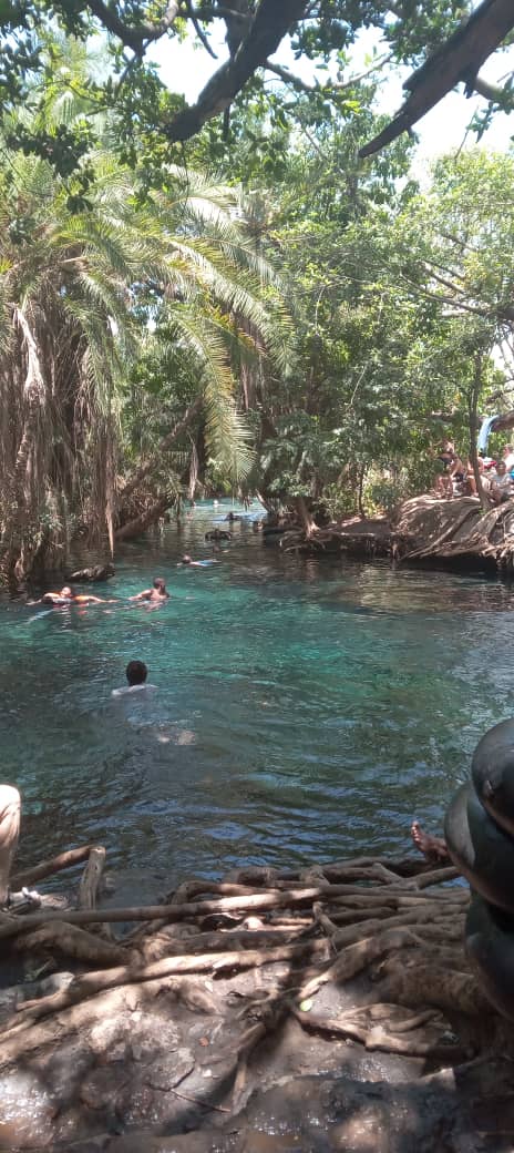 AfricanTrust Safari Day Trips