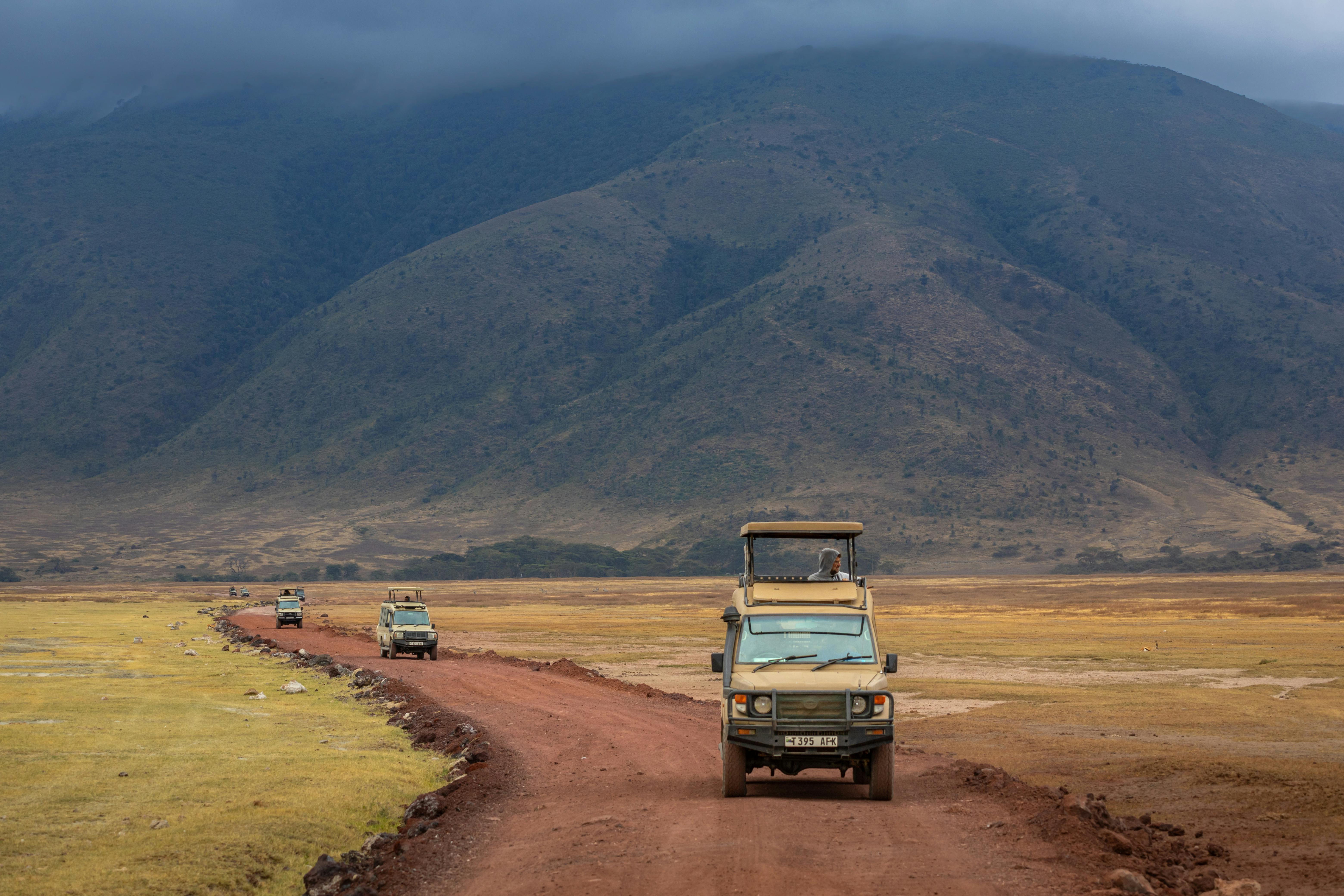 Africantrust Safari