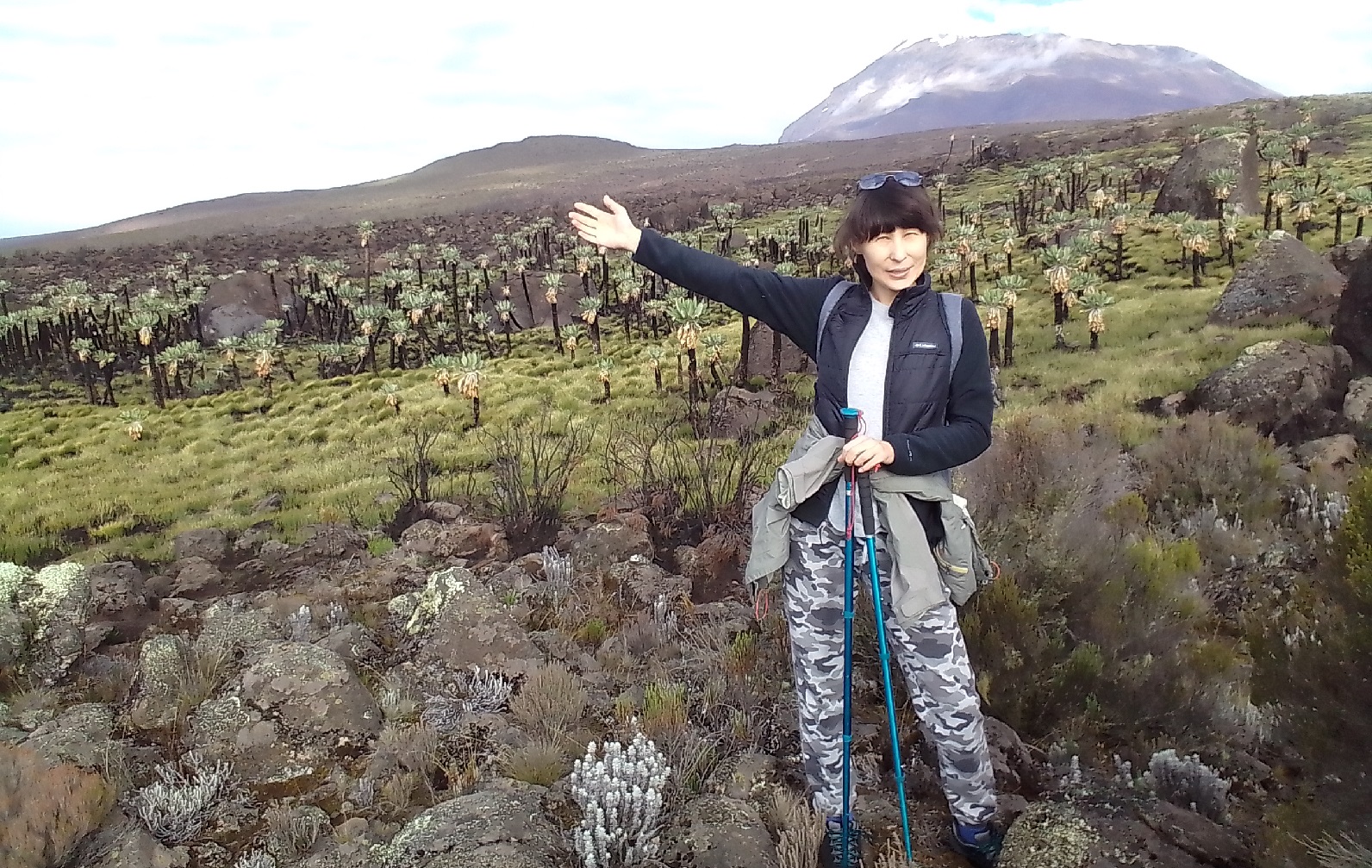 Marangu Route Kilimanjaro