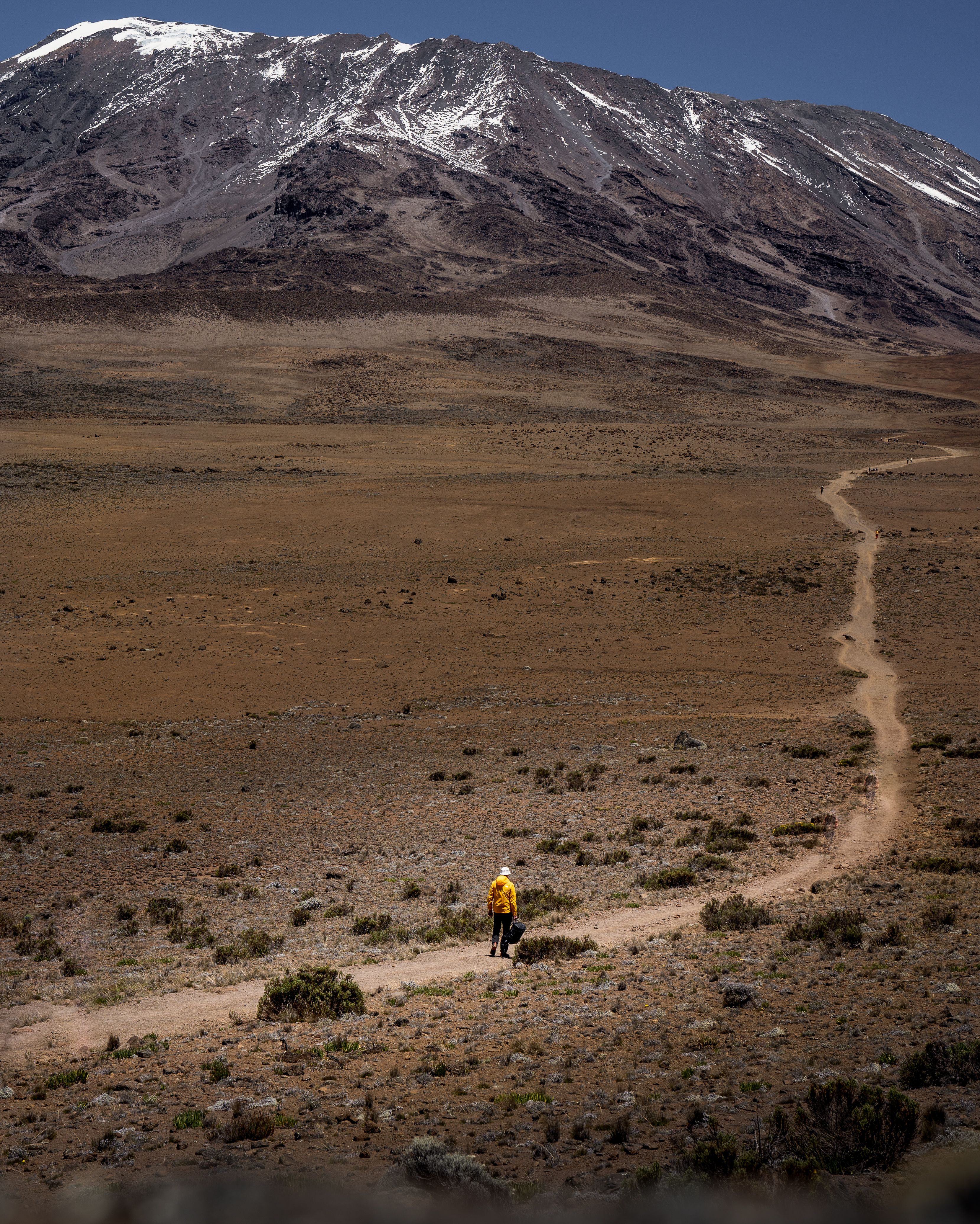 14 days Kilimanjaro Serengeti safari and Zanzibar package