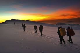 Climbing Kilimanjaro: Routes, Costs, Safety & Success Rates (2026 Guide) gallery image
