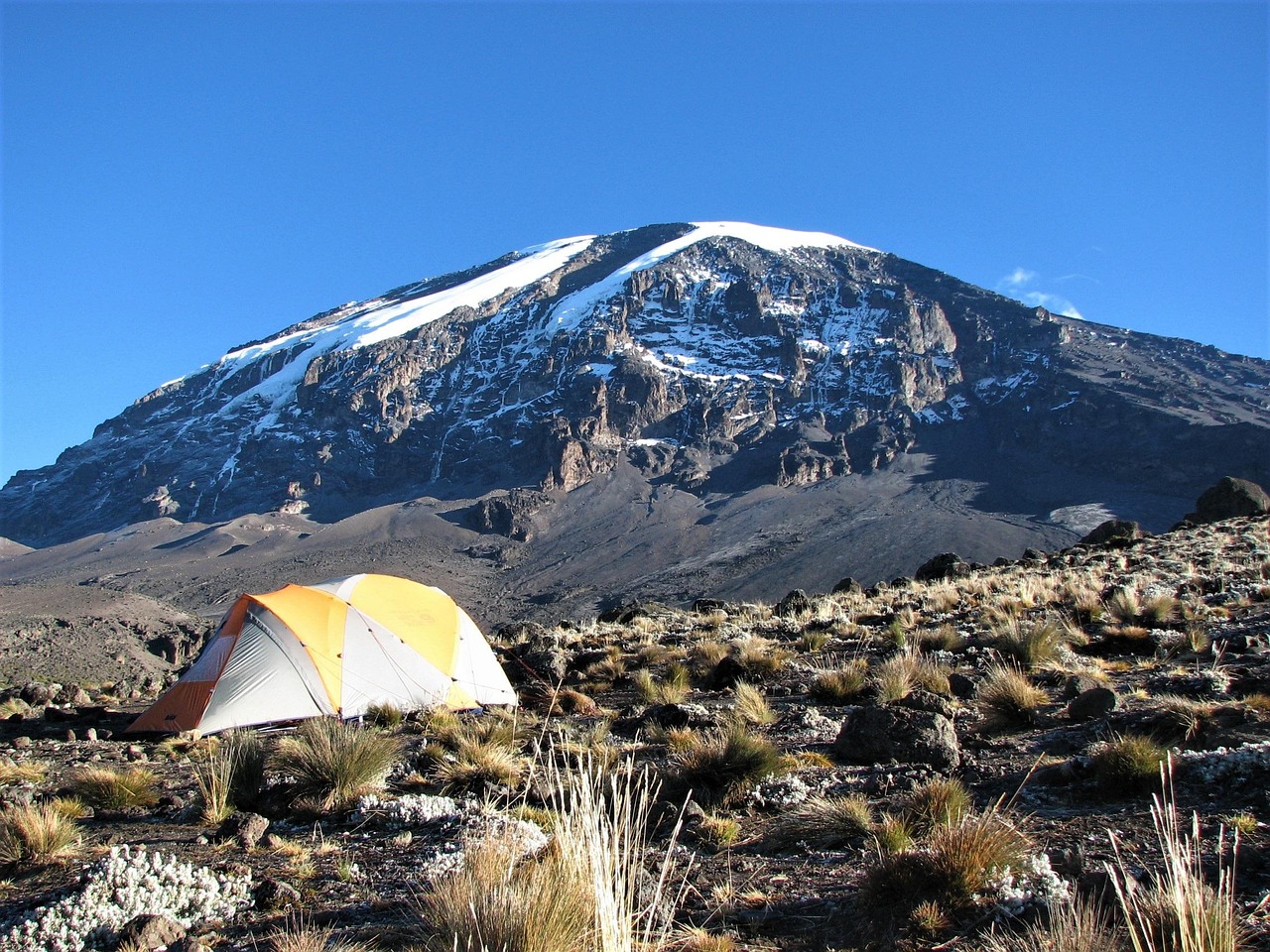 Kilimanjaro Summit Glaciers Arctic Zone