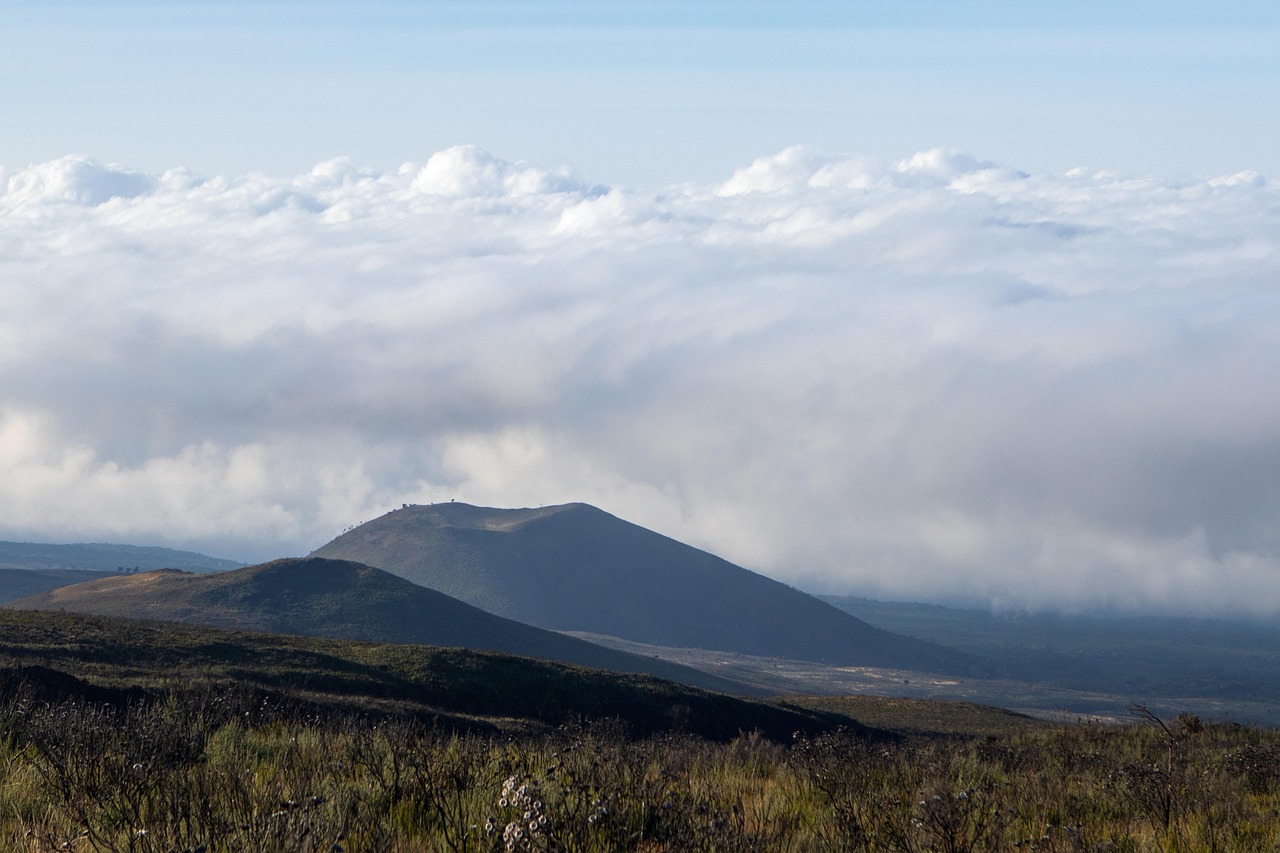 Descending through the forest to Mweka Gate