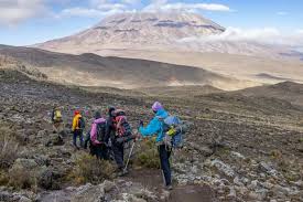 Lush tropical rainforest trek on the lower slopes of Kilimanjaro