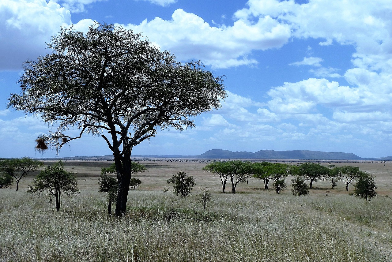 7 Days Southern Safari Tanzania