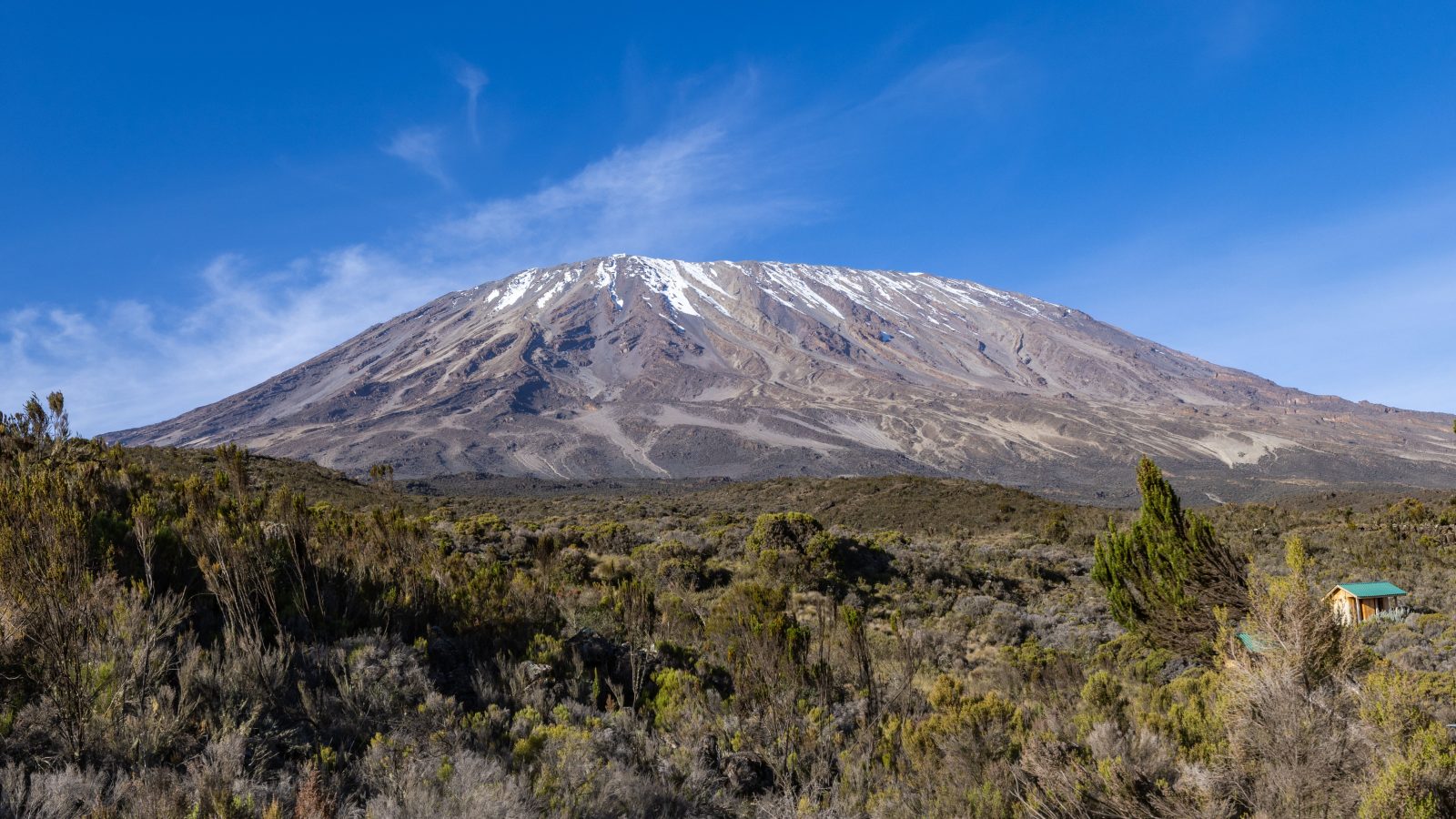 Mt Kilimanjaro Climbing, Trekking and Hiking Tours | Africantrust Safari